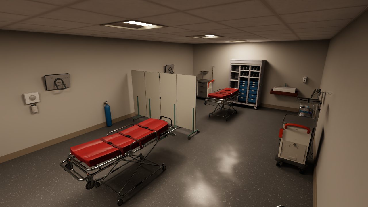 A&E resus. Two bays with trolleys, monitors and crash trolleys.
